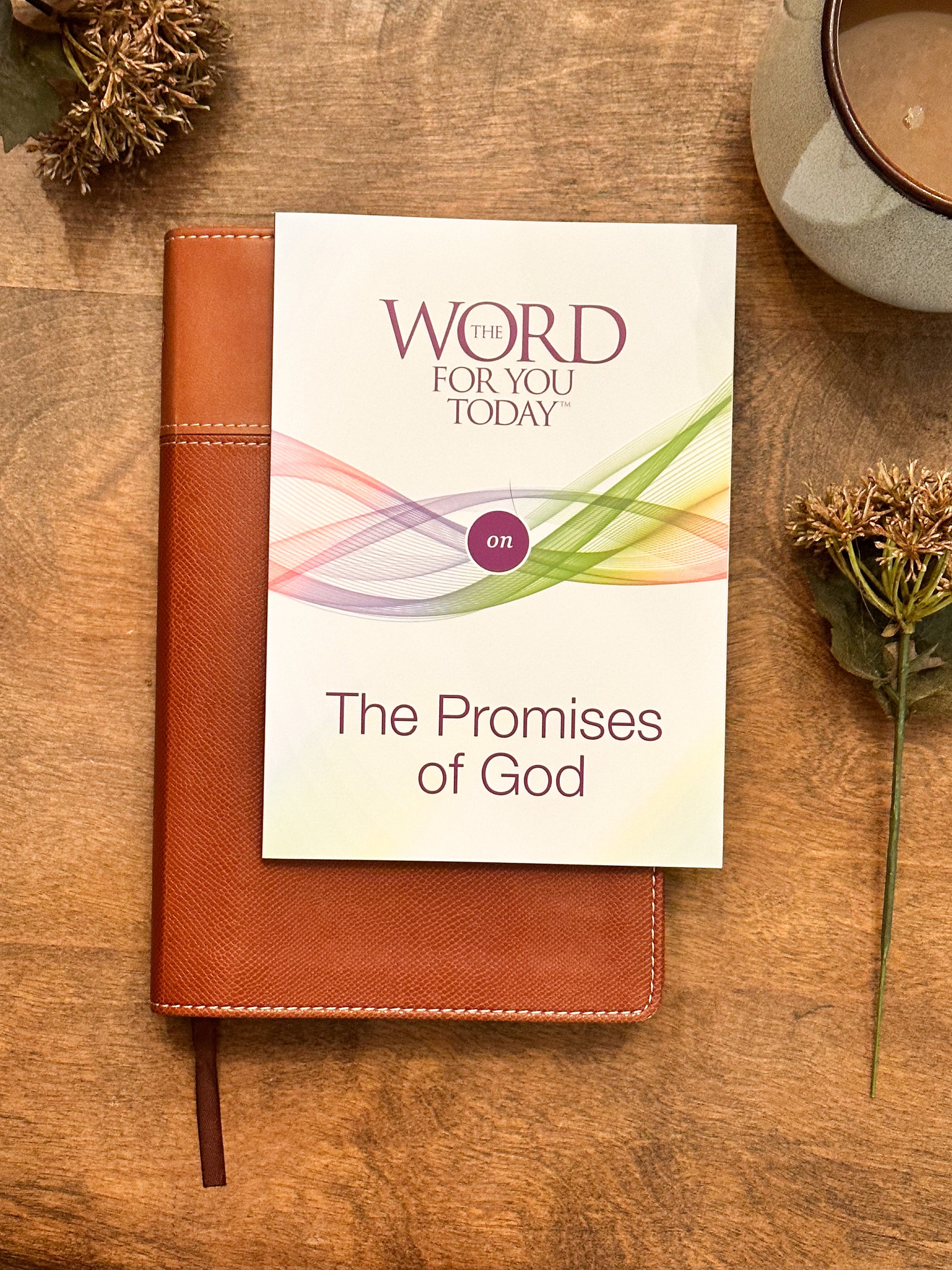 The Word For You Today on Promises of God